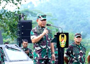 DPR Nilai Tepat Strategi KSAD Soal Penanganan Konflik Papua