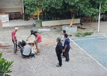 Qurban di Kanwil Kemenag NTT, Menguatkan Kerukunan dan Persaudaraan yang Kokoh