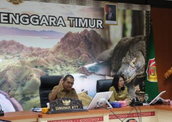 Gubernur NTT : “ASN Harus Jadi Pelita Harapan di Ruang Media Sosial”
