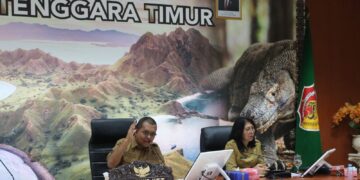 Gubernur NTT : “ASN Harus Jadi Pelita Harapan di Ruang Media Sosial”