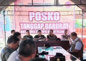 Gempa M7,7 Flores: 150 Ribu Warga Mengungsi, Kebutuhan Rehabilitasi dan Rekonstruksi Capai Rp2,59 Triliun