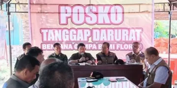 Gempa M7,7 Flores: 150 Ribu Warga Mengungsi, Kebutuhan Rehabilitasi dan Rekonstruksi Capai Rp2,59 Triliun